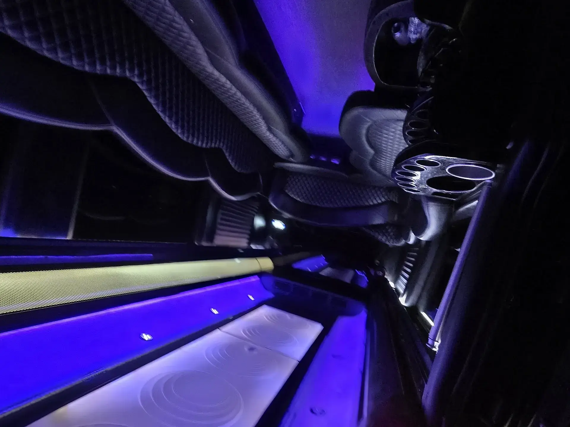 20-Passenger Party Bus wedding transportation — Royal Carriage Chicago